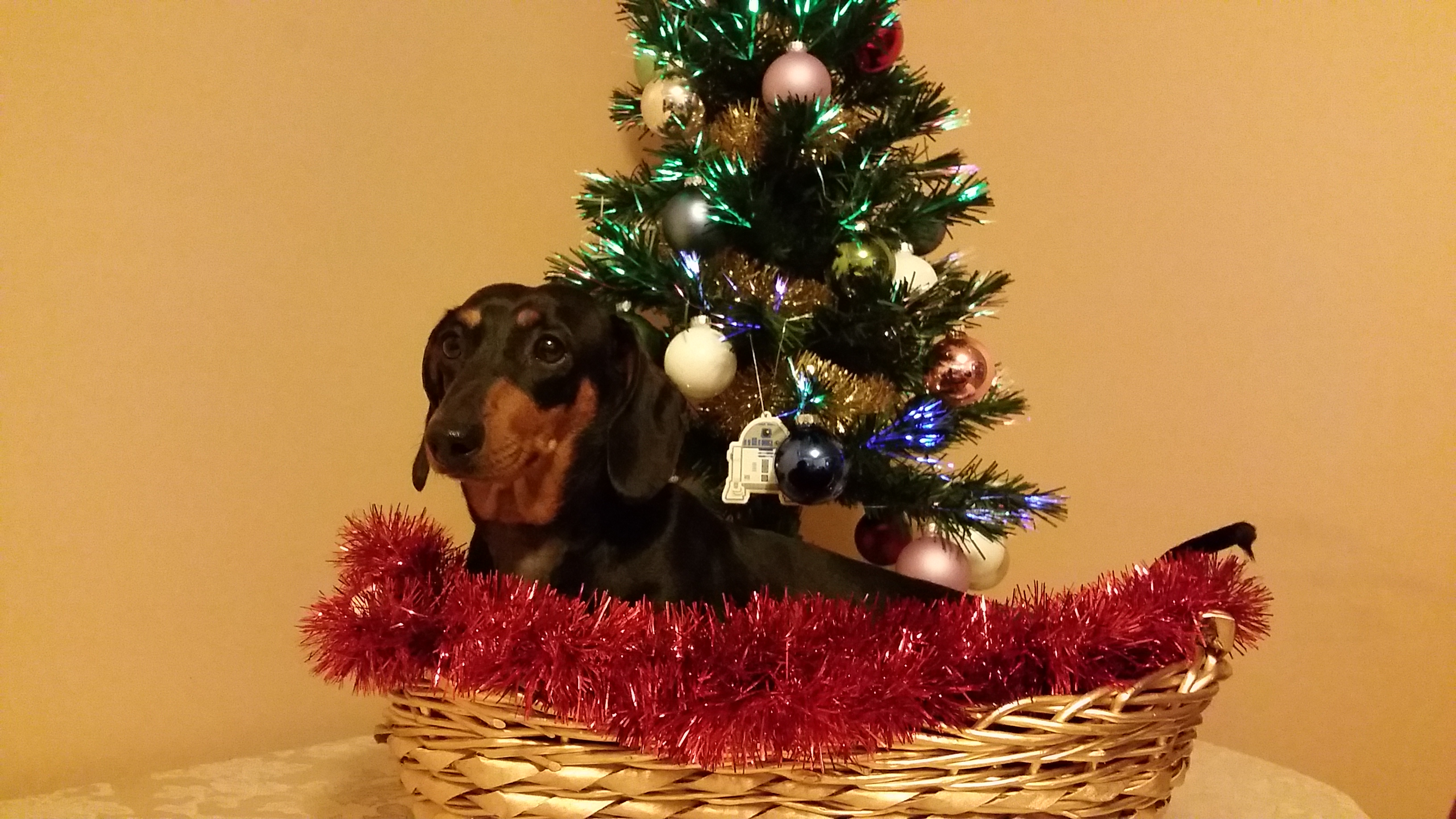 Merry Christmas from the Unseen Library – The Unseen Library