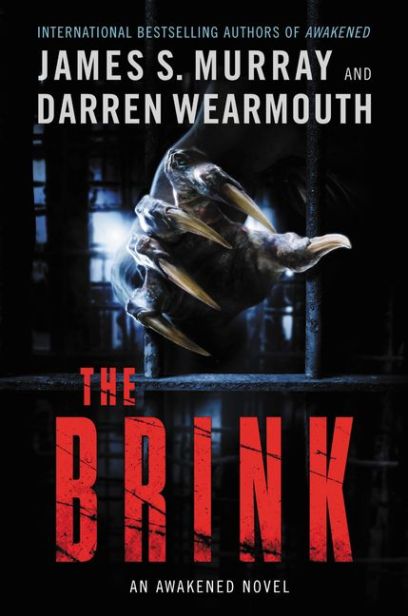 The Brink Cover.jpg