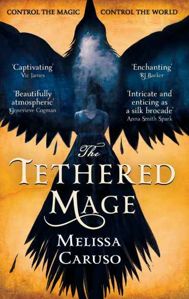 The Tethered Mage Cover