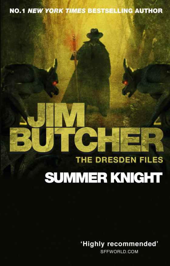Summer Knight Cover