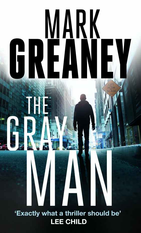 The Gray Man Cover