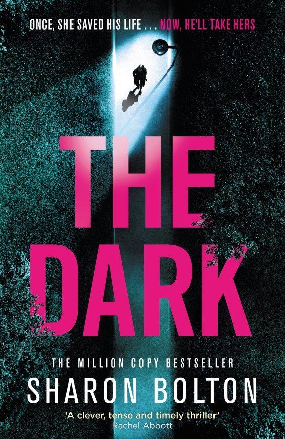 The Dark (Sharon Bolton) Cover