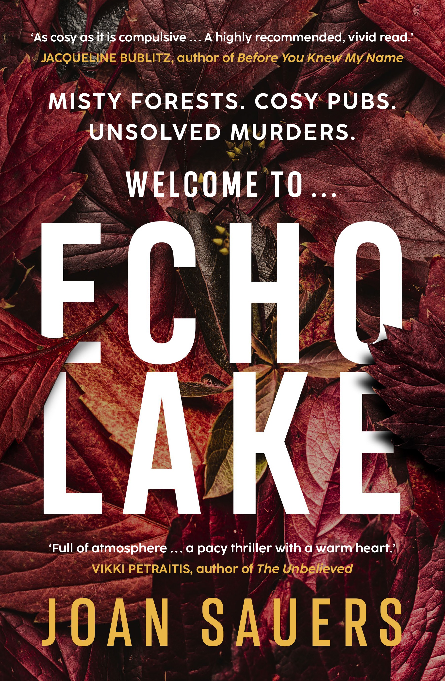 Echo Laker Cover