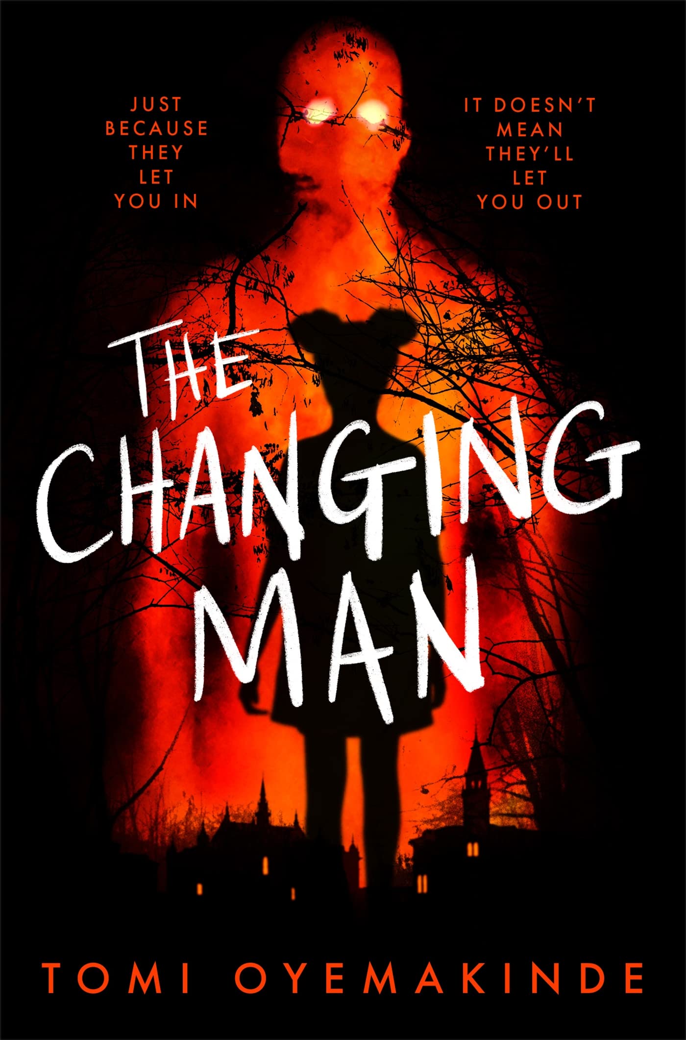 The Changing Man Cover